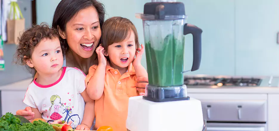 Juicer and Mixer Blender Repair in Kearny 