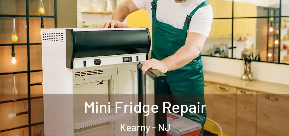  Mini Fridge Repair Kearny - NJ