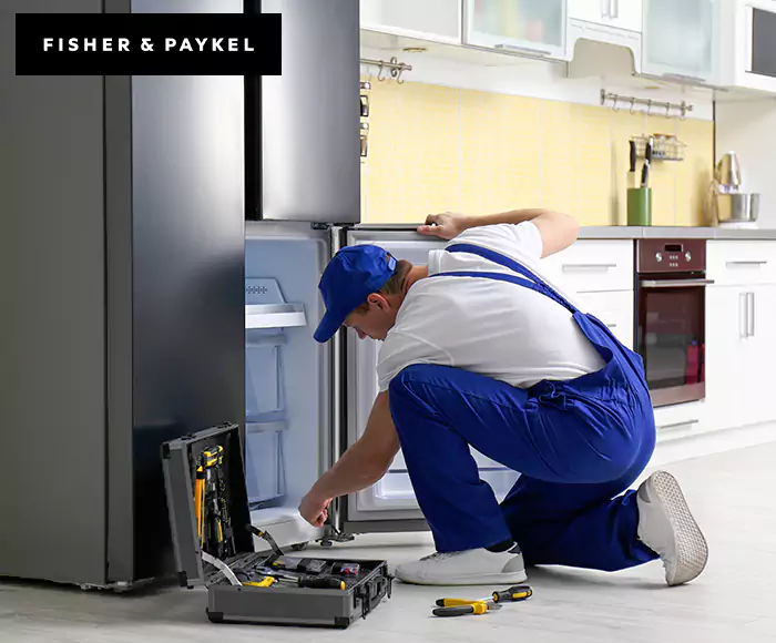 Top-Rated Fisher & Paykel Appliance Experts: Your Brand Specialist in Kearny, NJ